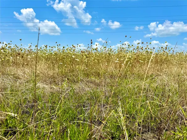 LOT 8 County Road 590, Nevada, TX 75173