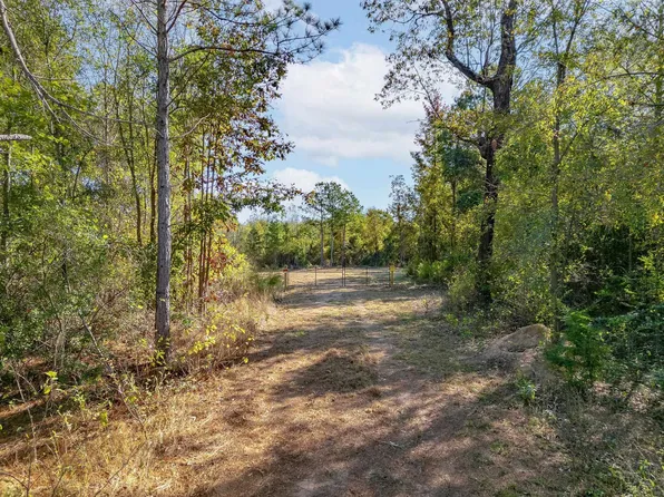 Tbd N Fm 161, Hughes Springs, TX 75656