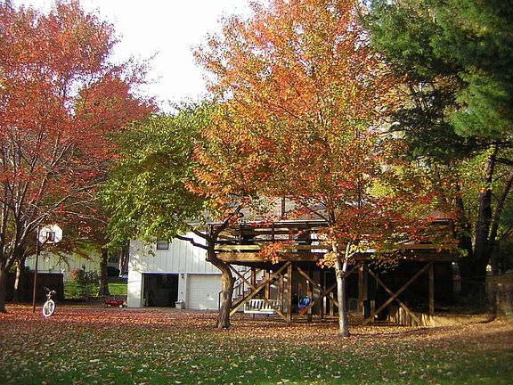 View of rear of house and deck. Red Maple, Silver Maple and Redbud 