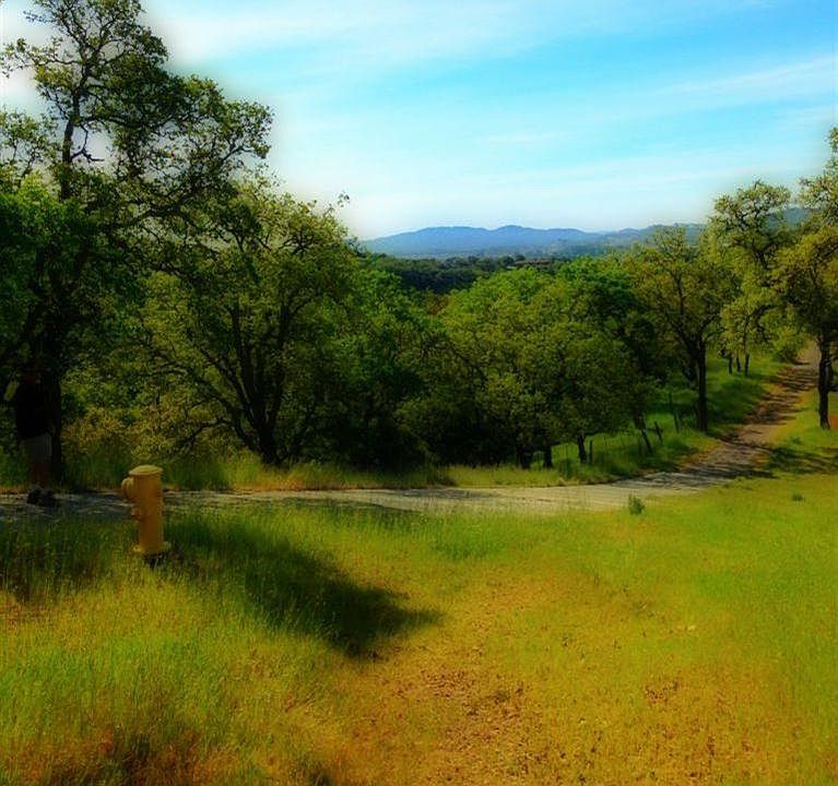 2nd image of 2095 Laguna Vista Dr