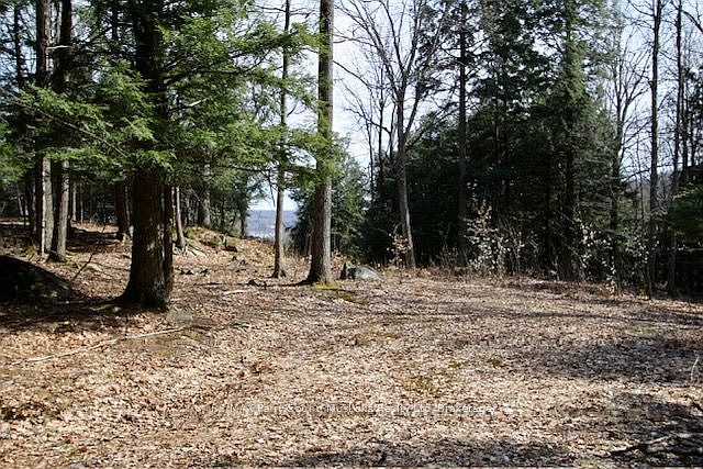 1st image of 22 Gryffin Bluffs Ln #6