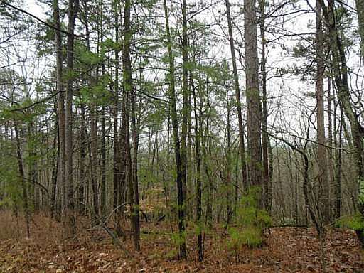 5th image of 1900 Garland Mountain Trl