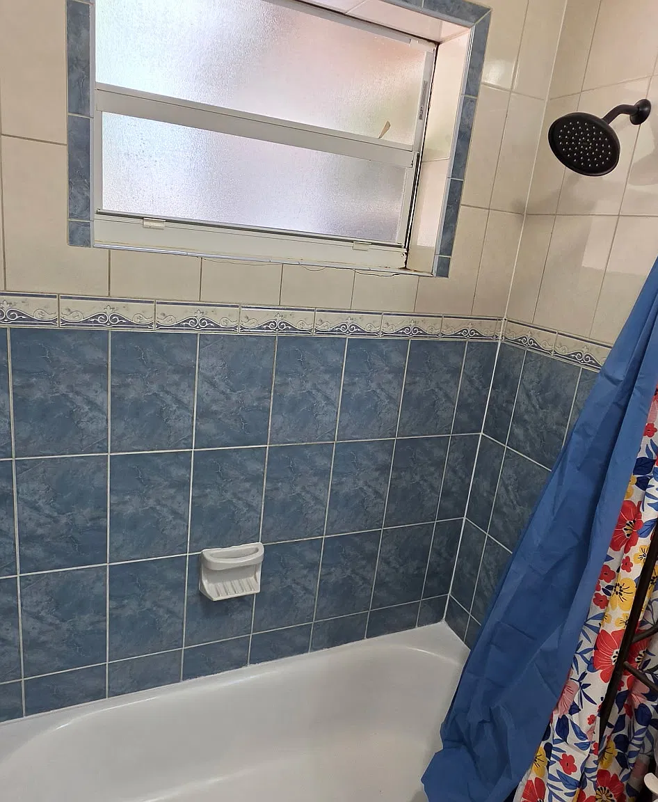 Studio, $1,300 — Photo 2