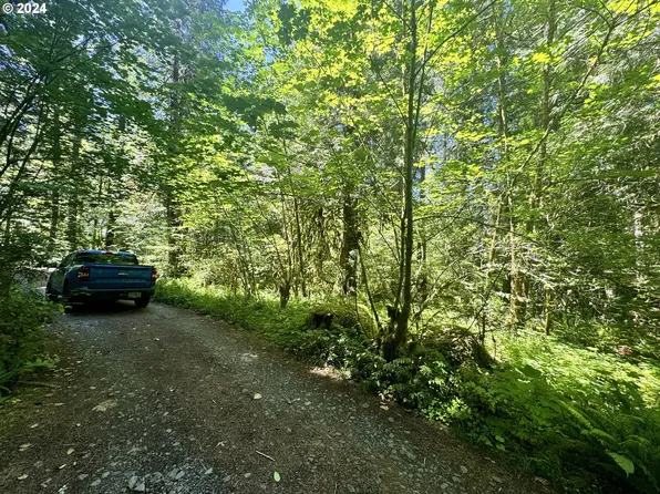 E Section Line Rd, Rhododendron, OR 97049