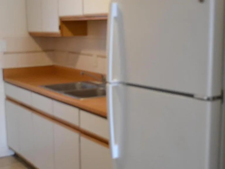 137 W Macarthur St #B2 — Photo 7