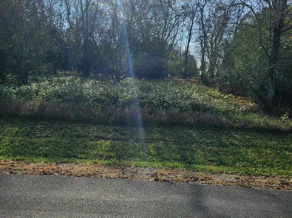131 Dudi Trl, Vonore, TN 37885