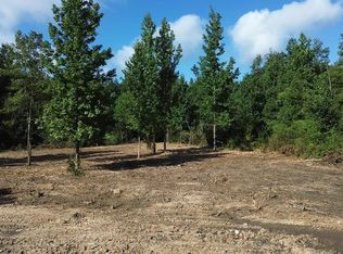 TRACT 2 Leonard Chapel Rd, Amite, LA 70422