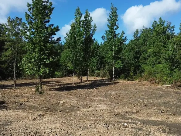 TRACT 3 Leonard Chapel Rd, Amite, LA 70422