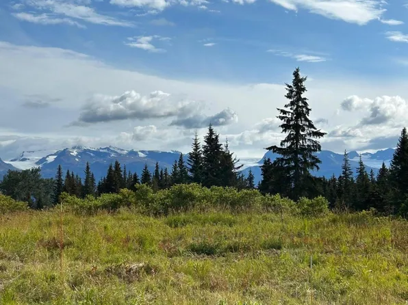 29100 Caribou View Ln, Homer, AK 99603