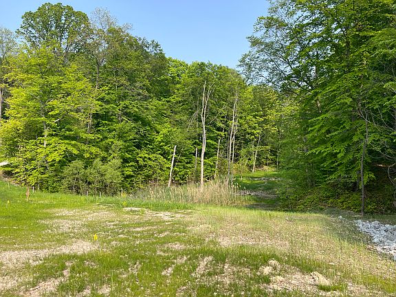 2nd image of PARCEL Seven Carlson Woods Dr