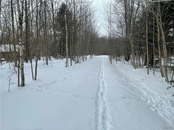 0 Hatfield Rd #10-1, Taberg, NY 13471