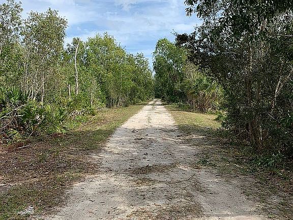 5th image of 5599 Little House Ln