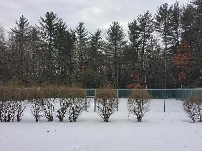 43 Indian Rock Rd — Photo 52
