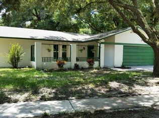 2427 Blind Pond Ave, Lutz, FL 33549