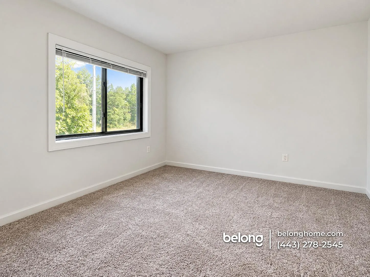 2 bed, 1.0 bath, 913 sqft, $1,795 — Photo 4