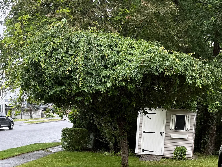 23 Vincent Cir #23 — Photo 19