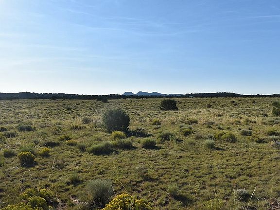 4th image of 0 Lizard Ln