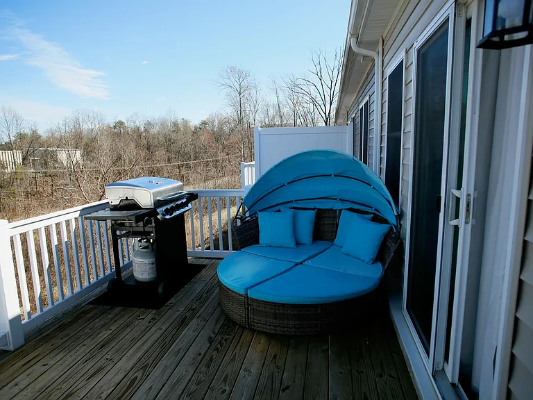 1313 Emerald View Ct — Photo 19