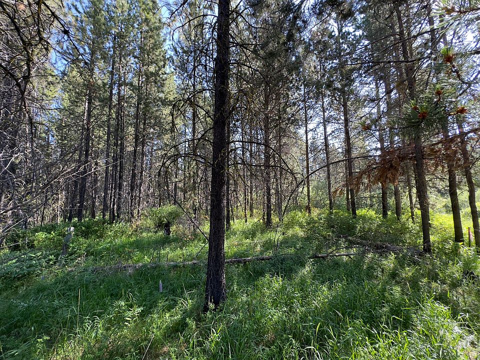 1st image of 16320 Bear Ln Lot 3