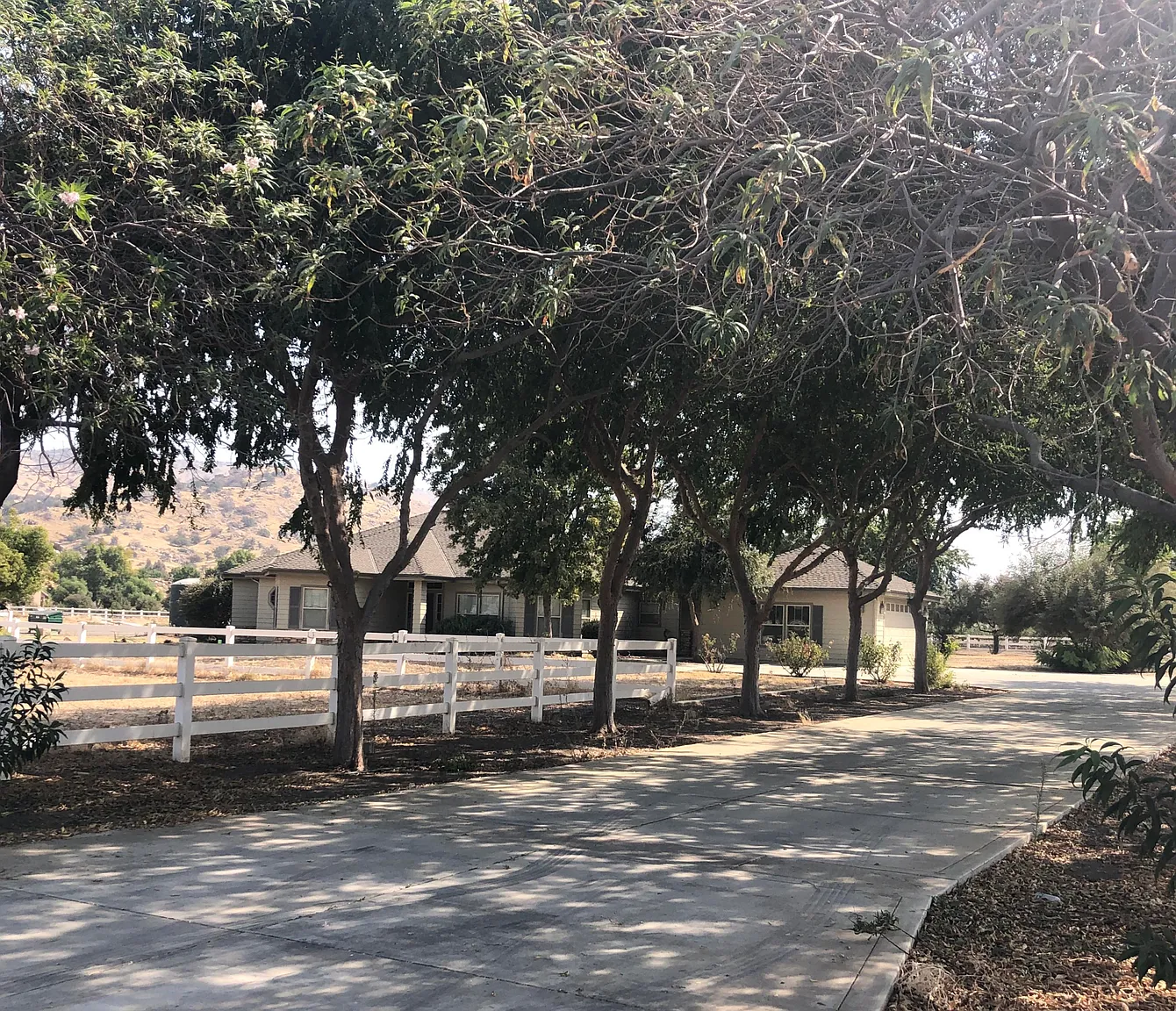 31457 Palm Dr photo 1