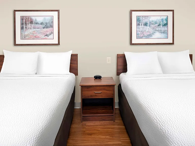 Studio Suite - 2 Full Beds