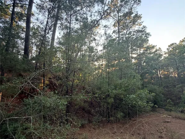 E Okoe Ct, Bastrop, TX 78602