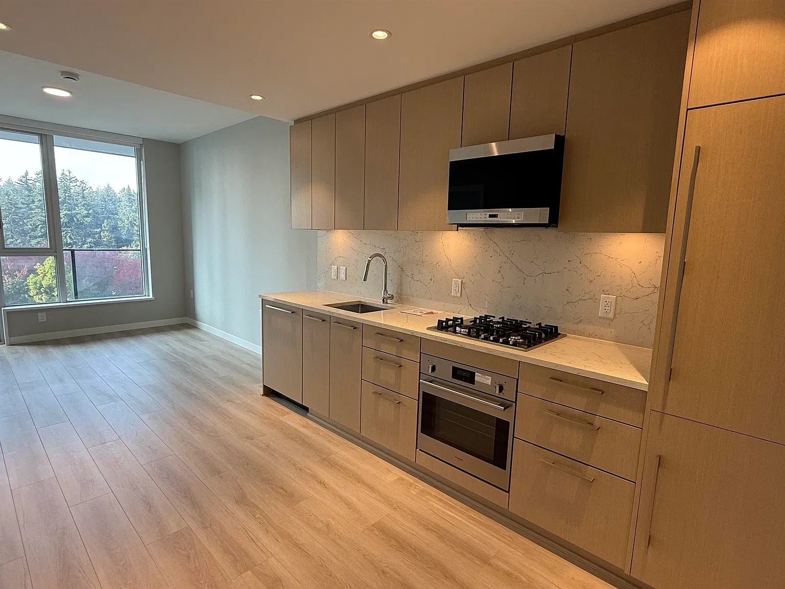 1 bed, 575 sqft, $2,250 — Photo 2
