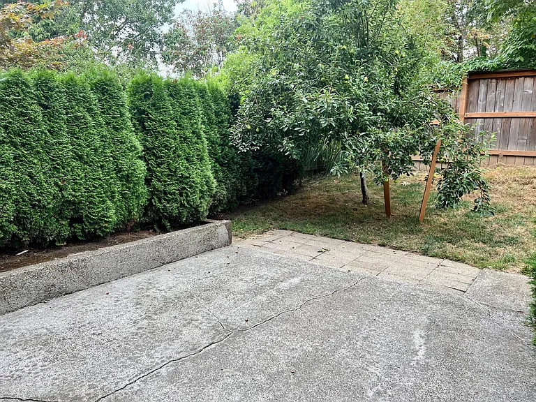 Private patio with pear tree.