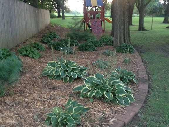 Side Yard