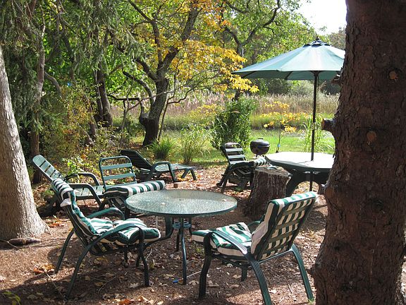 2nd patio, creek front full sun