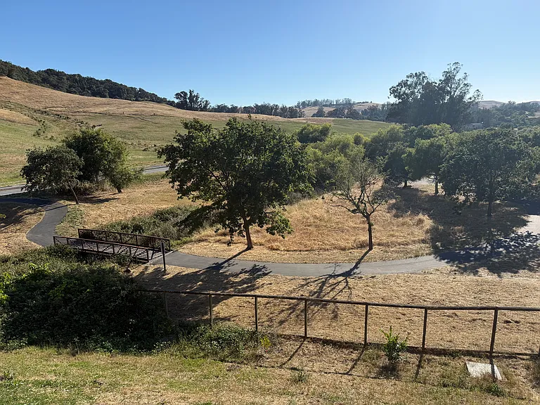 View from the backyard, looking toward Helen Putnam