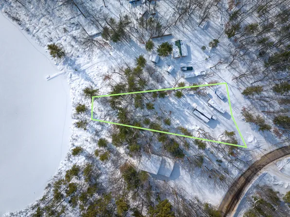 8310 N Perch Lake Dr, Bitely, MI 49309