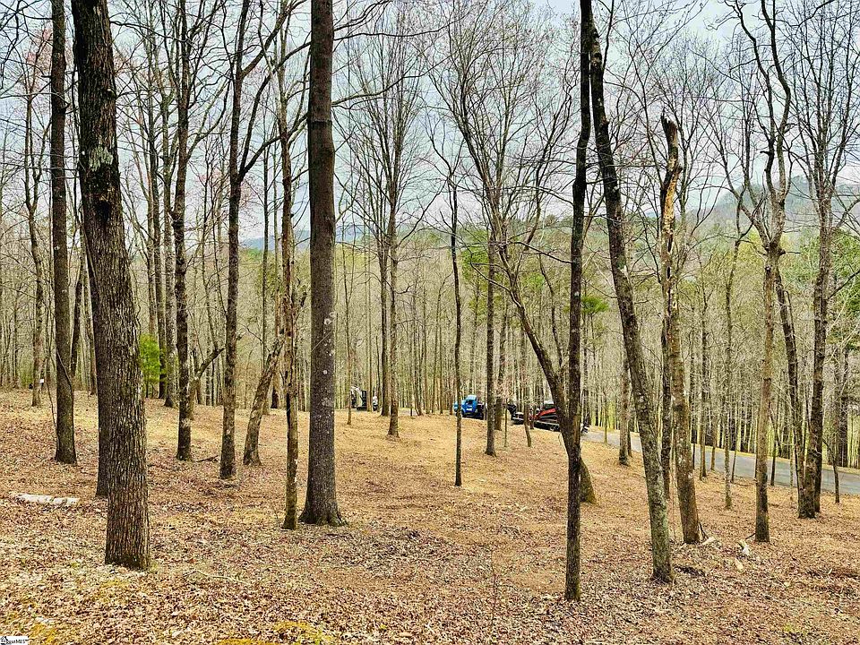 1st image of 101 Crystal Brook Trl