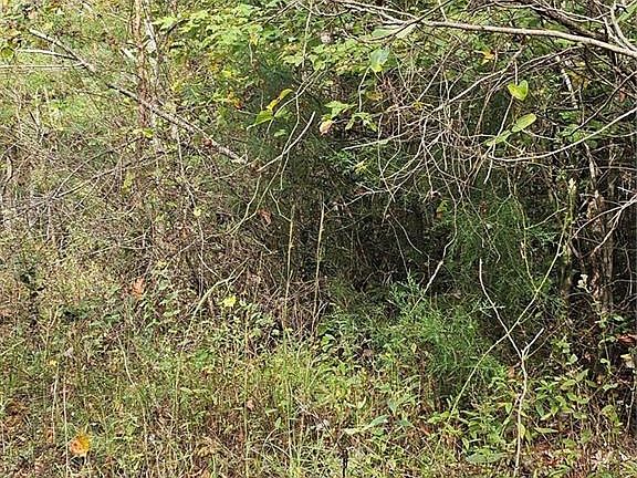 2nd image of LOT 19 Dowell Ridge Cir Lot 19