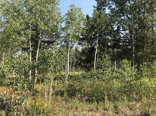 28 Haywagon Trl, Oak Creek, CO 80467