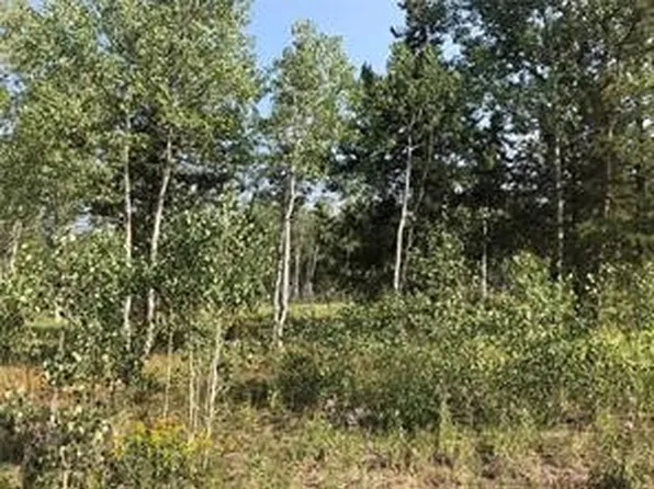 28 Haywagon Trl, Oak Creek, CO 80467