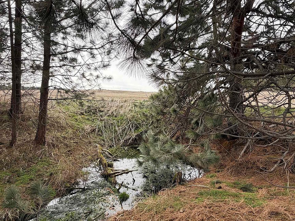 1st image of Tbd Sandhill Rd