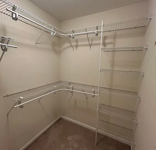 224 Jackstay Ct — Photo 18