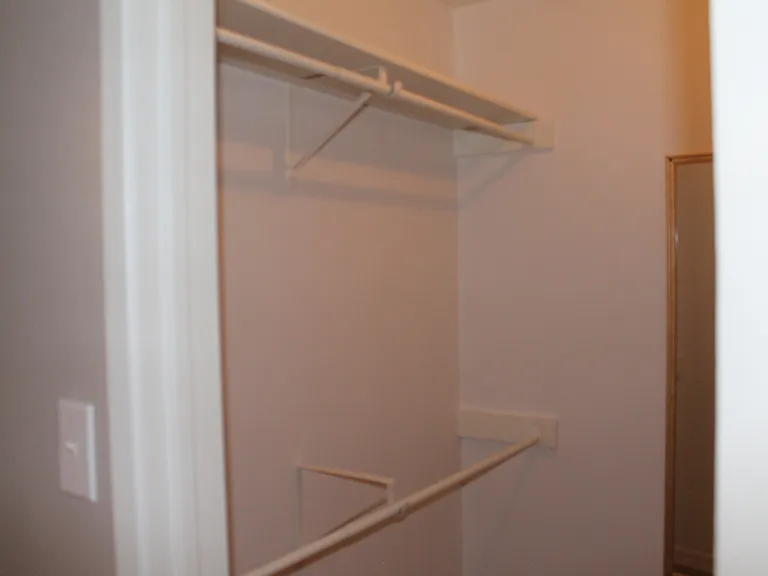 Master walk-in closet with multiple-layer rods