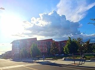 2nd image of 1715 Tilia St APT 232