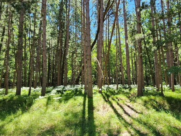 12383 Sundance Dr, Stanwood, MI 49346