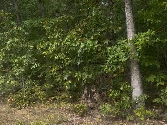 2nd image of Log Cabin Rd