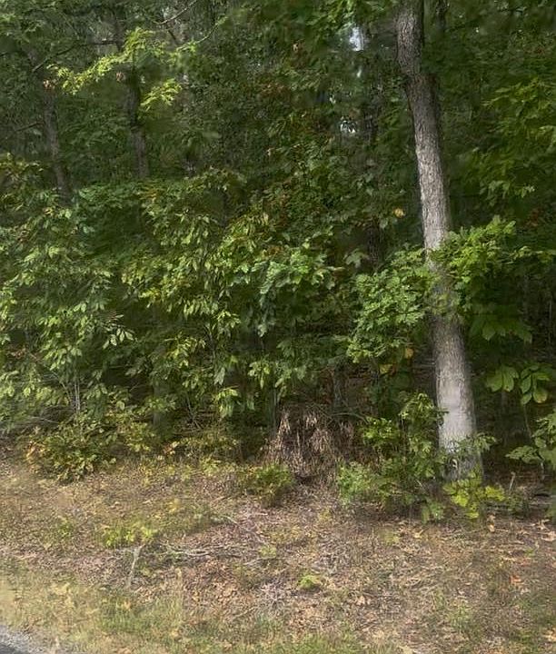 2nd image of Log Cabin Rd