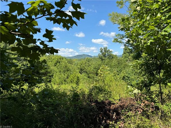 11684 Austin Traphill Rd, Traphill, NC 28685