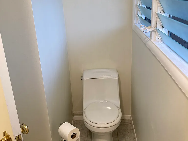 Master toilet inside separate room with shower.