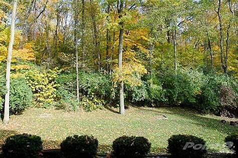 4th image of 1505 Rolling Hills Dr