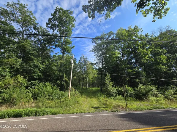 State Highway 239, Unityville, PA 17774