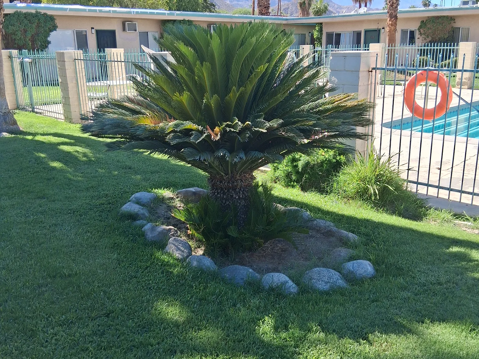 Rancho Mirage Villa Apartments — Photo 4