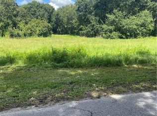 1308 E Alsobrook St #0, Plant City, FL 33563