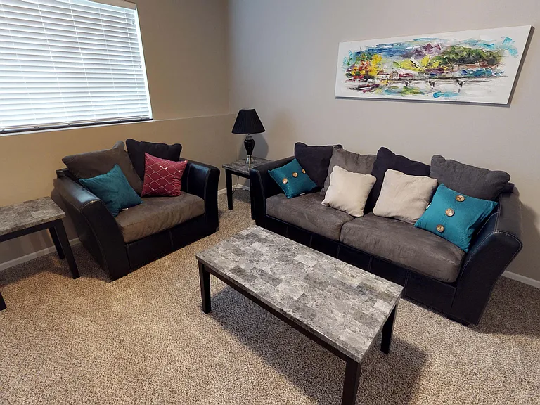 Lower level living room
